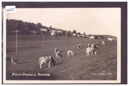 DISTRICT DE LA VALLEE - PIGUET DESSUS SUR LE BRASSUS - TB - Sonstige & Ohne Zuordnung