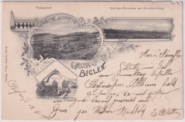 Gelaufen 1901 - Gruss Aus Biglen - Verlag Fritz Oesch, Bern Mit Handlung J. Moser - Sommer (Frasspuren) - Biglen