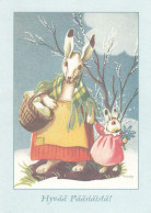 Postal Stationery - Rabbit Walking With Little Bunny - Red Cross 2008 - Suomi Finland - Postage Paid - Interi Postali