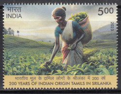 India MNH 2023, Indian Origin Tamils In Sri Lanka, Tea Plant Women Labour. Basket, - Ungebraucht