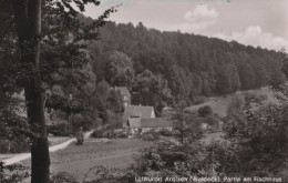 60790 - Bad Arolsen - Partie Am Fischhaus - Ca. 1960 - Bad Arolsen