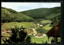 Lonau Am Harz, Gesamtansicht - Autres & Non Classés