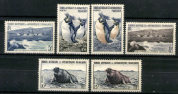 Franz. Gebiete I. D. Antarktis (T.A.A.F.), MiNr. 2-7, Postfrisch - Otros & Sin Clasificación