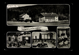 Treffelstein/Bay. Wald, Hotel Katharinenhof - Other & Unclassified