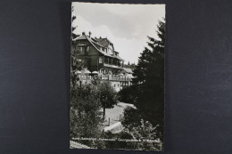 Georgenborn, OT Von Schlangenbad, Hotel "Hohenwalde" - Otros & Sin Clasificación