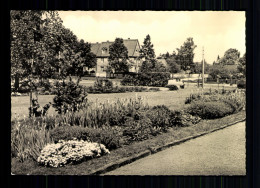 Dresden-Hellerau, Anlagen An Der Karl-Liebknecht-Straße - Autres & Non Classés