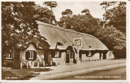 PC45101 The Cat And Fiddle Inn. New Forest. Thunder And Clayden. RP. 1955 - Monde