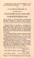 Alice Marie Elise Ghislaine Vandenpeereboom (1846-1932) - Santini
