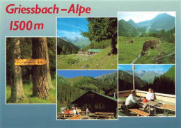 73967662 Griessbach-Alpe_1500m_Haeselgehr_Tirol_AT Berghuette Landschaftspanoram - Autres & Non Classés