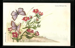 AK Schmetterlinge Lycaena Meleager Esp. An Roten Blumen  - Insectos