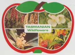 Australia TASMANIA TAS Wildflowers APPLE SHAPED Nucolorvue 12TA004 Multiview Postcard C1980s - Wilderness