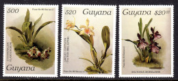 GUYANA - 1987 SANDERS REICHENBACHIA ORCHID FLOWERS 21st ISSUE COMPLETE SET (3V) FINE MNH ** SG 2180-2182 - Guyane (1966-...)