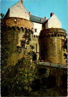 29-3-2024 (4 Y 24) France- Château De Nantes Et  Pont - Brücken