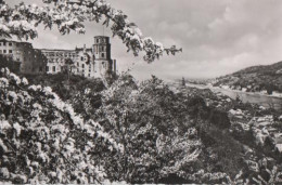 10174 - Schloss Heidelberg Zur Blütezeit - 1957 - Heidelberg