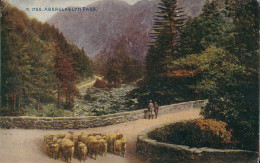 PC44616 Aberglaslyn Pass. Photochrom. Celesque. 1929 - World