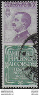 1924-25 Italia Pubblicitari 50c. Piperno Cancelled Sassone N. 13 - Autres & Non Classés