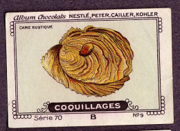 Nestlé - 70B - Coquillages, Shellfish - 9 - Came Rustique - Nestlé