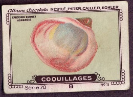 Nestlé - 70B - Coquillages, Shellfish - 11 - Cabochon Bonnet Hongrois - Nestlé