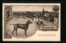 AK Buxtehude, Ortsansicht Mit Kirche, Hund, Der Mit Dem Schwanz Bellen Kann  - Buxtehude