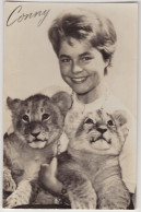 Conny Froboess Speelt In 'Halbo' Films - (Uitg.: Takken, Utrecht) - 1960 -  Tigerbabys / Tiger Cubs / Petit Lions - Music And Musicians