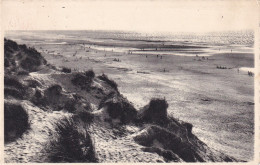 LAP Coxyde S/mer Les Jeux De La Mer Et Du Sable - Koksijde