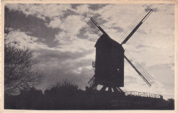 LAP Coxyde St Idesblad Le Vieux Moulin - Koksijde