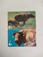 China Transport Cards, Bos Mutus, Metro Card, Shanghai City, (2pcs) - Sin Clasificación