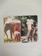 China Transport Cards, Asian Elephants, Metro Card, Shanghai City, (2pcs) - Non Classificati