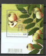 SLOVENIA 2013,FLORA,PRUNUS DOMESTICA,SKORŠ,BLOCK,MNH - Árboles