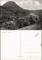 Königstein (Sächsische Schweiz) Panorama-Ansicht Foto Ansichtskarte 1969 - Koenigstein (Saechs. Schw.)