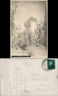 Schmiedeberg (Erzgebirge)-Dippoldiswalde Unter Schwerer Last - Winter 1930  - Schmiedeberg (Erzgeb.)