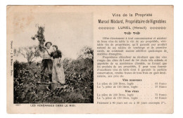 Lunel Vins Marcel Médard , Cave Vignobles , Les Vendanges Dans Le Midi - Lunel