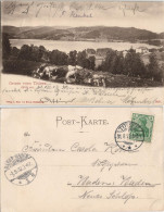 Ansichtskarte Titisee-Neustadt Kühe - Titisee (Schwarzwald) 1902 - Titisee-Neustadt