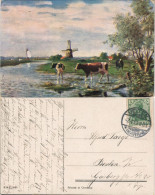 Ansichtskarte  Windmühlen Und Kühe, Gel Stempel Velten 1913 - Ohne Zuordnung