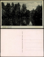 Ansichtskarte Reesdorf-Möckern Pottmühle 1932 - Altri & Non Classificati