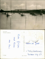 Postcard .Ungarn BALATON Vitorlások A Kikötőben 1970 - Hungary
