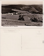 Feldberg Feldberg, Feldberger Hof Foto Ansichtskarte  1960 - Feldberg