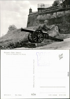 Königstein (Sächsische Schweiz) Festung Königstein: Kanone Am Eingangstor 1978 - Koenigstein (Saechs. Schw.)