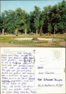 Ansichtskarte Białystok Park Branickich 1978 - Pologne