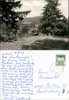 Beddelhausen (Kr. Siegen-Wittgenstein)-Bad Berleburg Haus Ederhöhe 1959 - Bad Berleburg