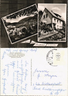 Ansichtskarte Bad Grund (Harz) Pension Bergheimat 1956 - Bad Grund