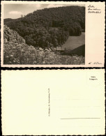 Sankt Andreasberg-Braunlage Umland-Ansicht Partie Im Wellbechtal 1950 - St. Andreasberg