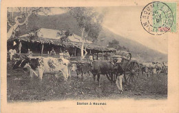 Nouvelle Calédonie - Station De Koumac - Erreur D'imprimerie " Houmac" - Attelage De Boeufs - Carte Postale Ancienne - Nuova Caledonia