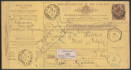 Italie - Bulletin Expédition Colis 'Pacchi Postali 1.75 Lire' Càd PAVULLO NEL FRIGNANO /10 OTT 1891 Pour DIEST - Rare Ca - Postal Parcels