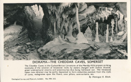 PC45394 Diorama. The Cheddar Caves. Somerset. Montague B. Black. B. Matthews. RP - Mondo