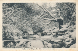 PC46247 Vallee De La Hoegne. Le Chene Rustique Sous Neige. Desaix. B. Hopkins - Monde