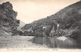 48-SAINT CHELY DU TARN-N°3877-D/0375 - Le Bleymard