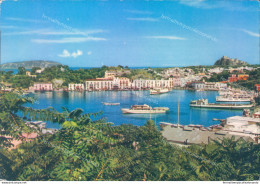 Aa297 Cartolina  Ischia Provincia Di Napoli - Napoli (Naples)