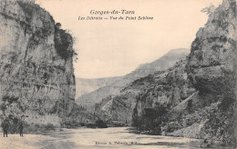 48-GORGES DU TARN LE POINT SUBLIME-N°3877-F/0347 - Unused Stamps