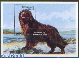 Mali 1997 Newfoundland Dog S/s, Mint NH, Nature - Dogs - Mali (1959-...)